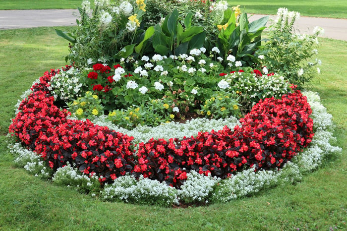 Gepflegtes Blumenbeet ohne Unkraut