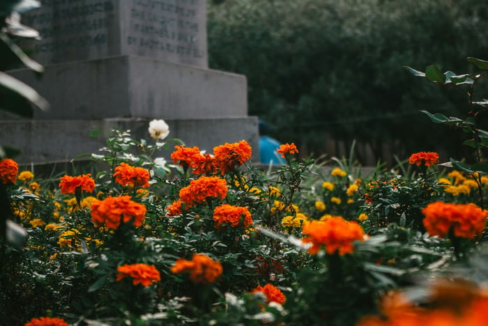 Gepflegtes Grab mit Blumenschmuck
